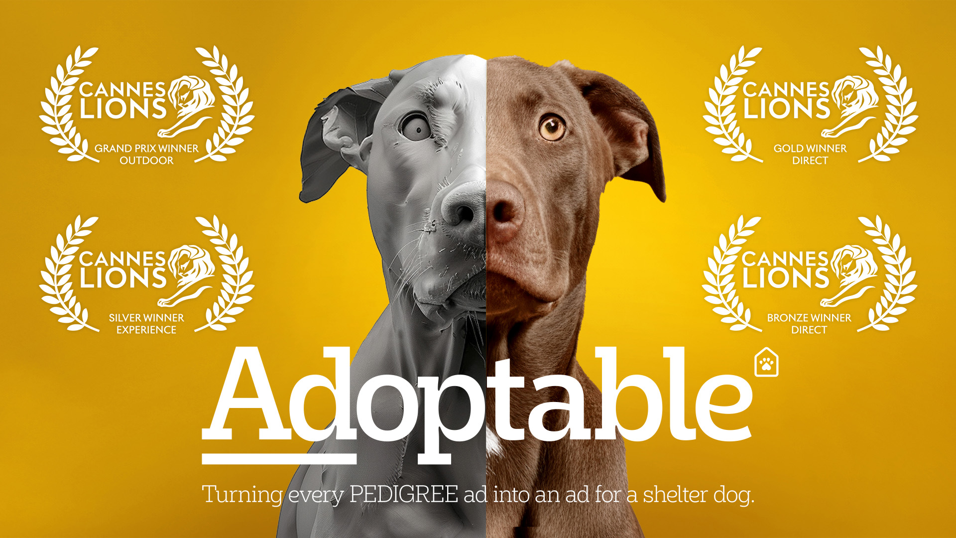 ADoptable  |  Pedigree 