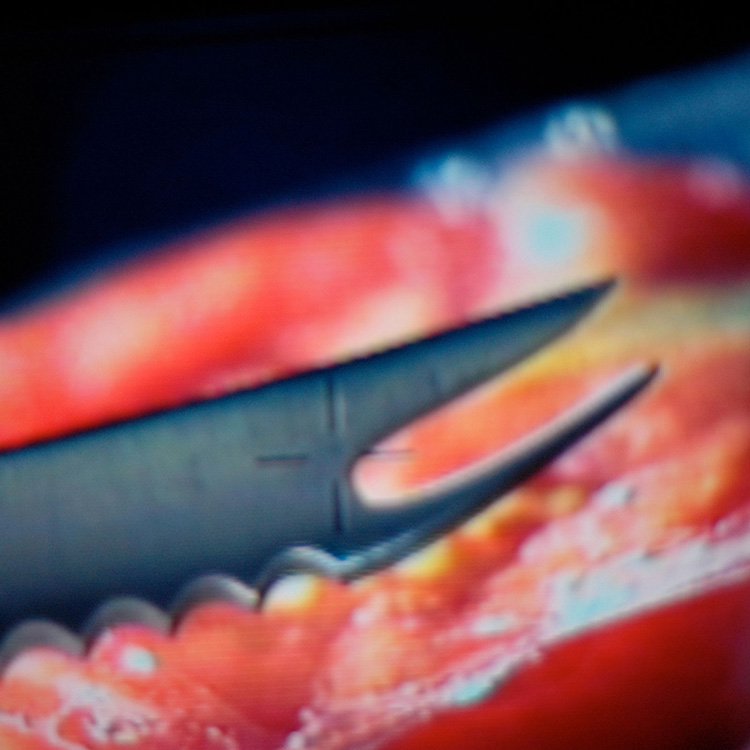 Dexter |  Main Title