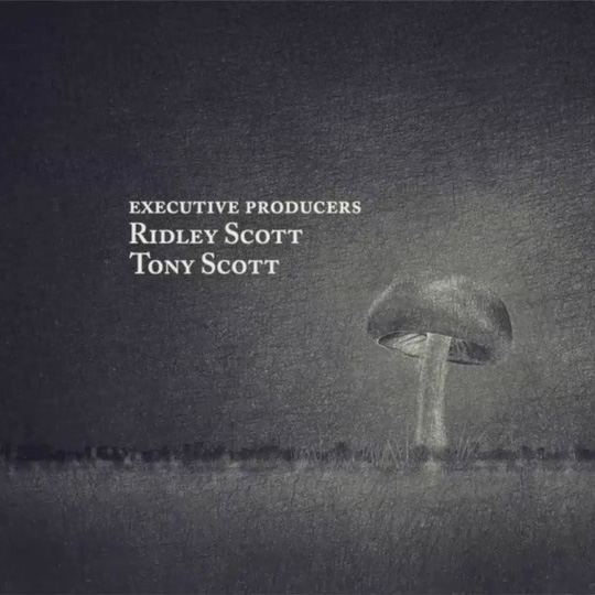 The Company  |  Main Title