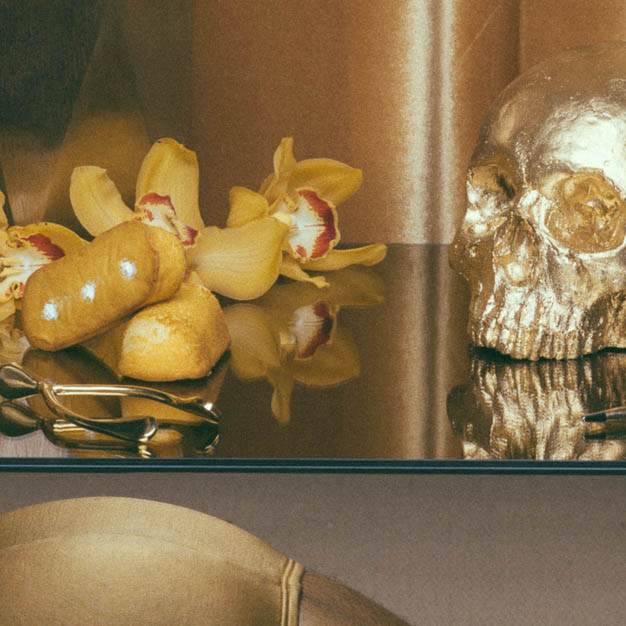 Vanitas (Series)