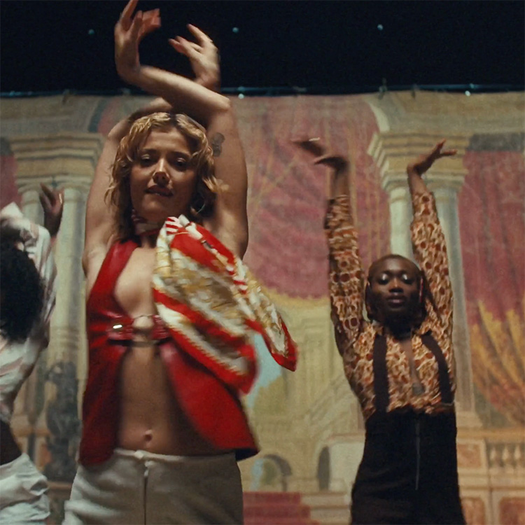 Jungle  |  WeTransfer